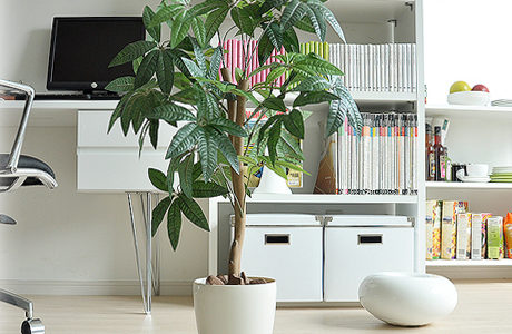 リアルで本物そっくりなおしゃれな光触媒の人工観葉植物おすすめ8選