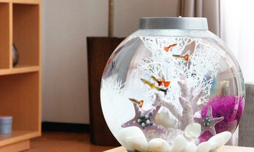 おしゃれなインテリアに!熱帯魚が飼える水槽セット・小型水槽16選