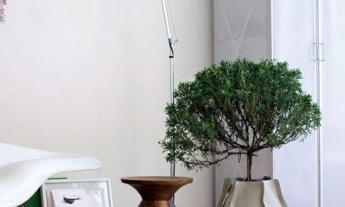 おしゃれな観葉植物の「室内用植木鉢・鉢カバー」おすすめ16選