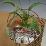 金魚鉢/可愛い金魚/癒し系/ガラス製金魚鉢赤（大）にエサのいらない金魚セット/うつわの翔山