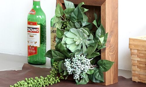 小さめサイズでインテリアとして飾りやすい!おしゃれな観葉植物8選
