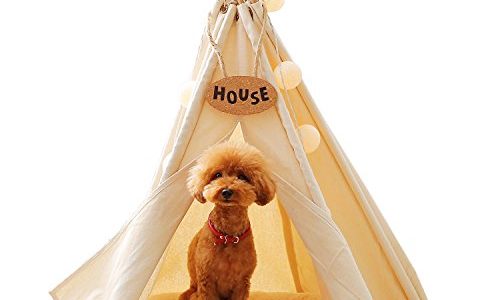 インテリアの邪魔をしない!室内のおしゃれな犬小屋おすすめ10選