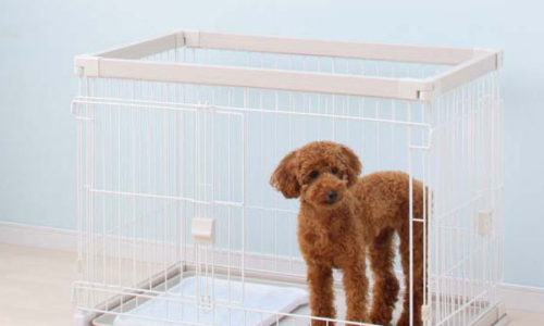インテリアにもなじみやすい!おしゃれな白色の犬ゲージおすすめ10選