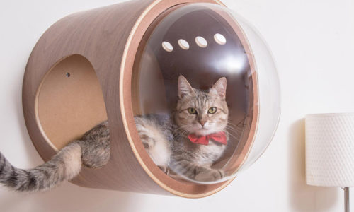 猫飼いさん必見!木製のおしゃれなキャットタワーおすすめ10選