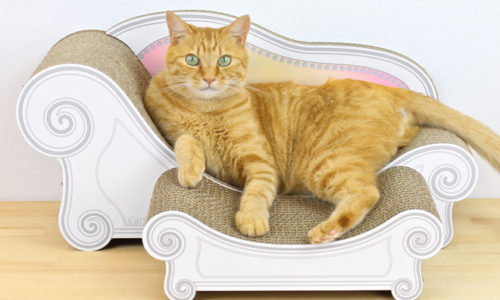愛猫も気に入る!おしゃれでかわいすぎる猫用爪とぎおすすめ10選