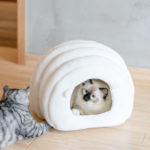 安心して落ち着ける！おしゃれなドーム型の猫用ベッドおすすめ10選