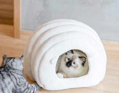 安心して落ち着ける!おしゃれなドーム型の猫用ベッドおすすめ10選