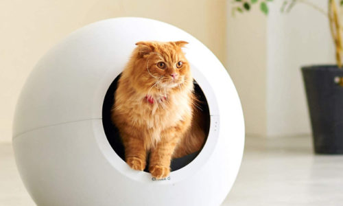 猫好き必見!猫と飼い主が居心地良く生活できるおしゃれな猫グッズまとめ