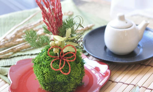 和の雰囲気を出せる!おしゃれな和風苔玉のおすすめ10選